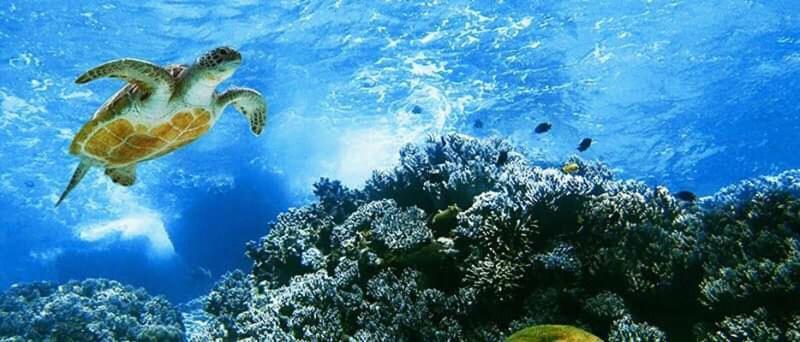 Hostal Albatros ซานกริสโตวัล ภายนอก รูปภาพ