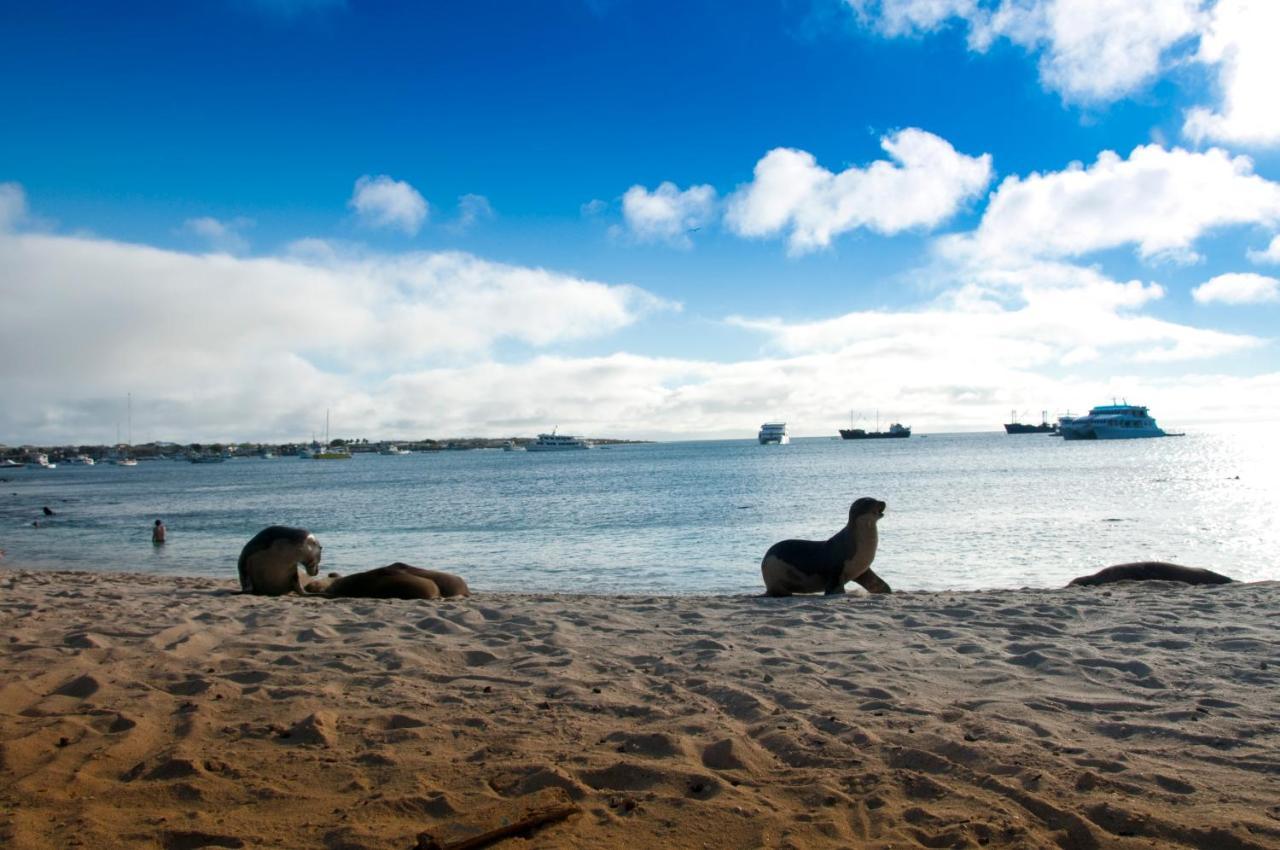 Hostal Albatros ซานกริสโตวัล ภายนอก รูปภาพ